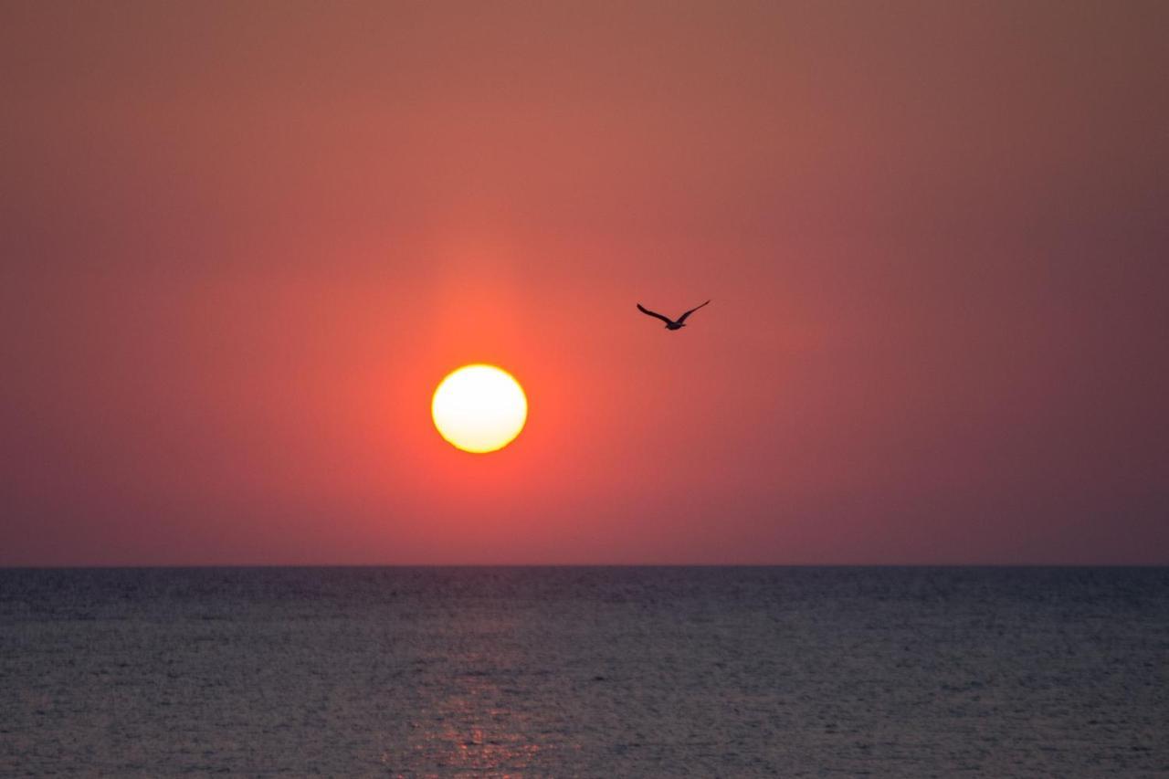 Apartmán Aktaia Skyros Exteriér fotografie